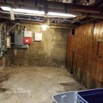 Mold Remediation Contractors in Buffalo NY