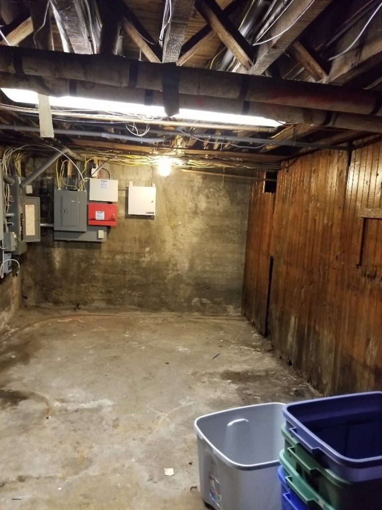 Mold Remediation Contractors in Buffalo NY