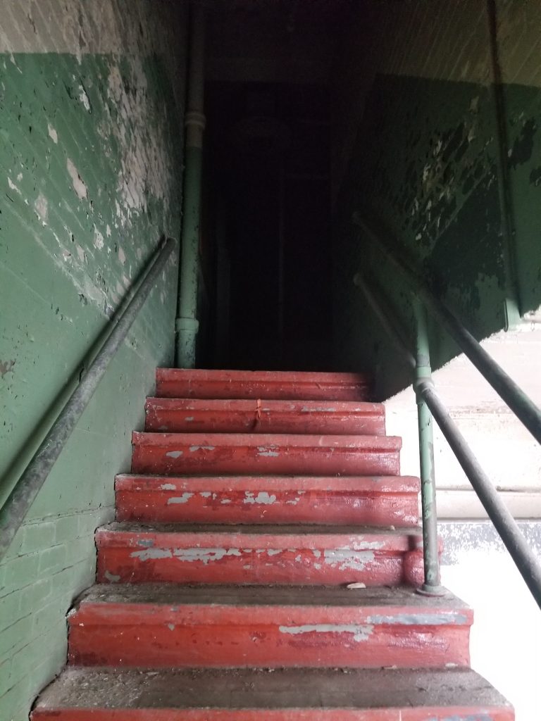 lead Removal on stairsLockport, NY